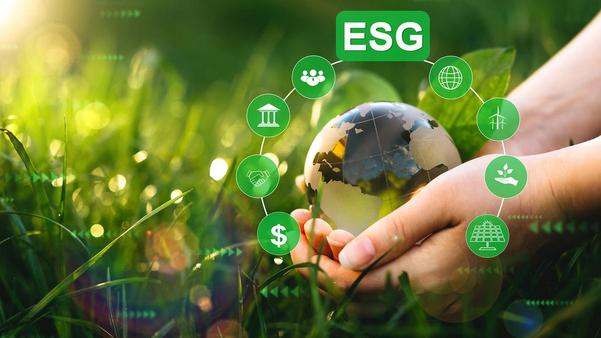 Implementing Effective ESG Strategies in Your Company