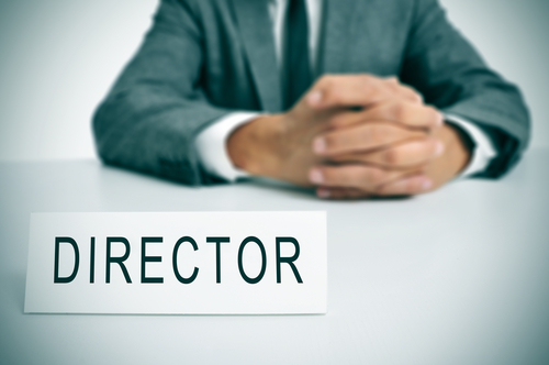 Resolution for the Appointment of a Director